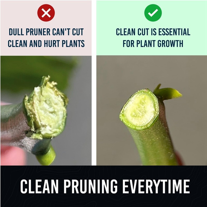 Pruning Shears Garden Professional Ti Tree Trimming Bypass Hand Pruner