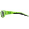 Alpina Unisex – Adults' Flexxy Kids Sports Goggles, Green, One