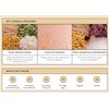 Nutra Naturals Clean Plant Protein Vanilla 500g
