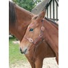 Cwell Equine FOAL LEATHER HEAD COLLAR HALTER NEW MARKET BROWN