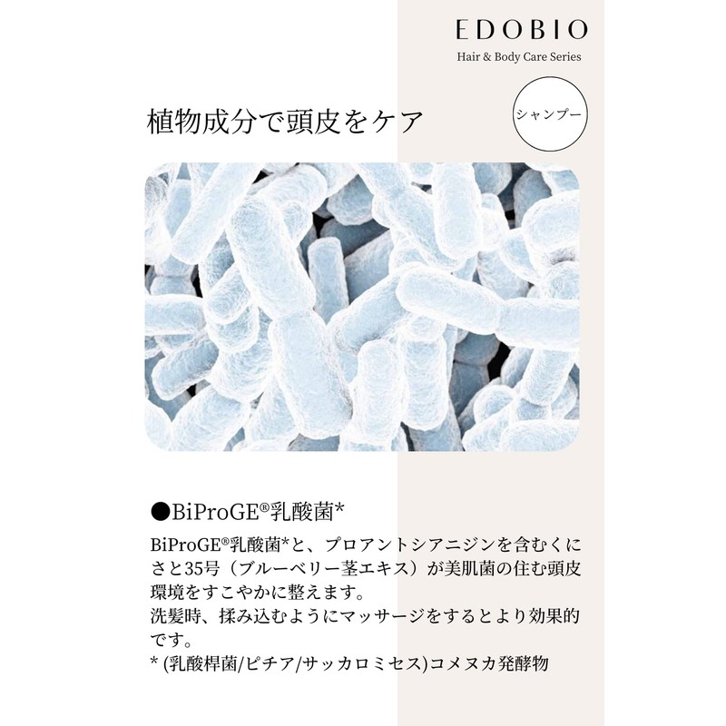 EDOBIO Scalp Shampoo Smoothing Shampoo Scalp Care Botanical Bamboo Charcoal