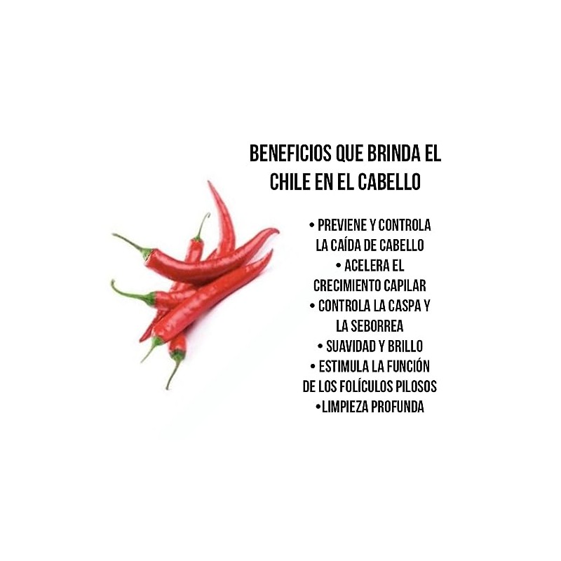 ALAZAN SHAMPOO CON CHILE Y SABILA, PARA CABELLO GRASO, EL