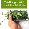 Brampton 2 Pcs 20m Fake Vines,Artificial Leaves,Fake Ivy,Halloween,Wedding