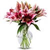 Benchmark Bouquets - 8 Stem Pink Oriental Lilies (Glass Vase