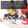 Robot Plaza Robot Dog, For Children, Educational Toy, Popular, Dog-shaped