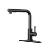 FORIOUS Black Kitchen Faucet with Pull Down Sprayer, Stainless Steel