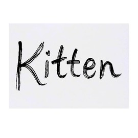 'Kitten' Temporary Tattoo - Water Resistant, Skin-Safe, Non-Toxic Transfer (TO00080375)