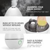 Tenergy Pluvi Ultrasonic Cool Mist Humidifier Advanced Mist Generator Essential