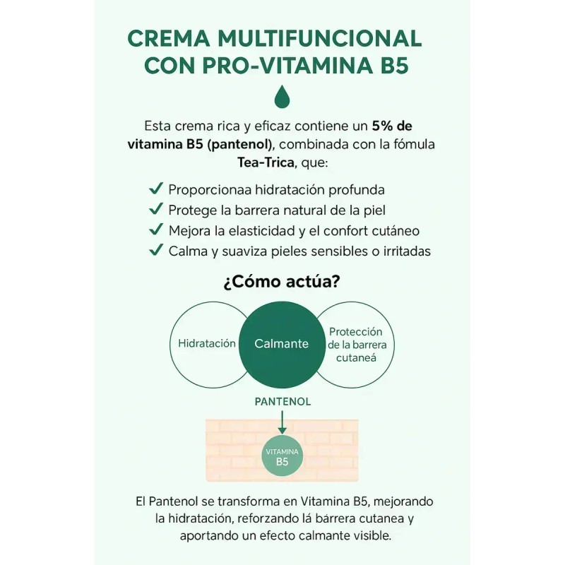 Skin 1004 - Madagascar Centella Tea-trica B5 Cream 75ml 2pz