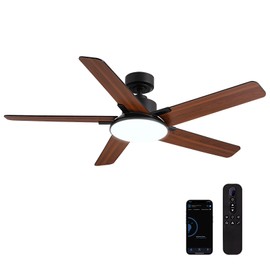 Fanbliss 52 Inch Ceiling Fans with Lights and Remote, Modern Ceiling Fan with Dimmable LED, 6 Speeds, 8H Timer, Quiet Reversible DC Motor, Black Ceiling Fan for Bedroom, Living Room and Kitchen