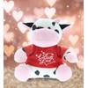DolliBu I Love You Valentine Plush Cow - Cute Stuffed