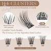 LASHVIEW Lash Extension Clusters Natural Look 70144 Lash bond and