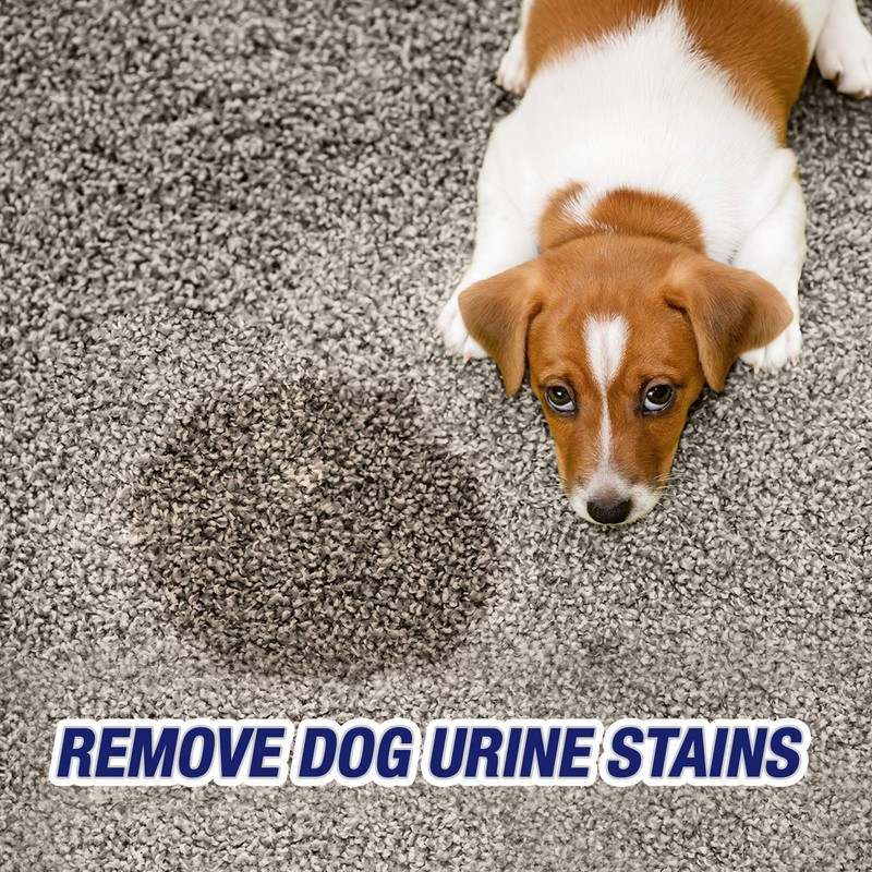 2 Pk. Resolve Urine Destroyer Spray Stain & Odor Remover,