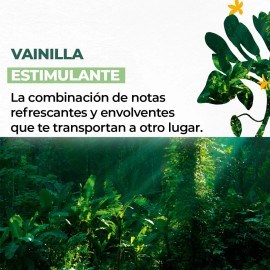 Yves Rocher Kit De Cremas Corporales De Vainilla