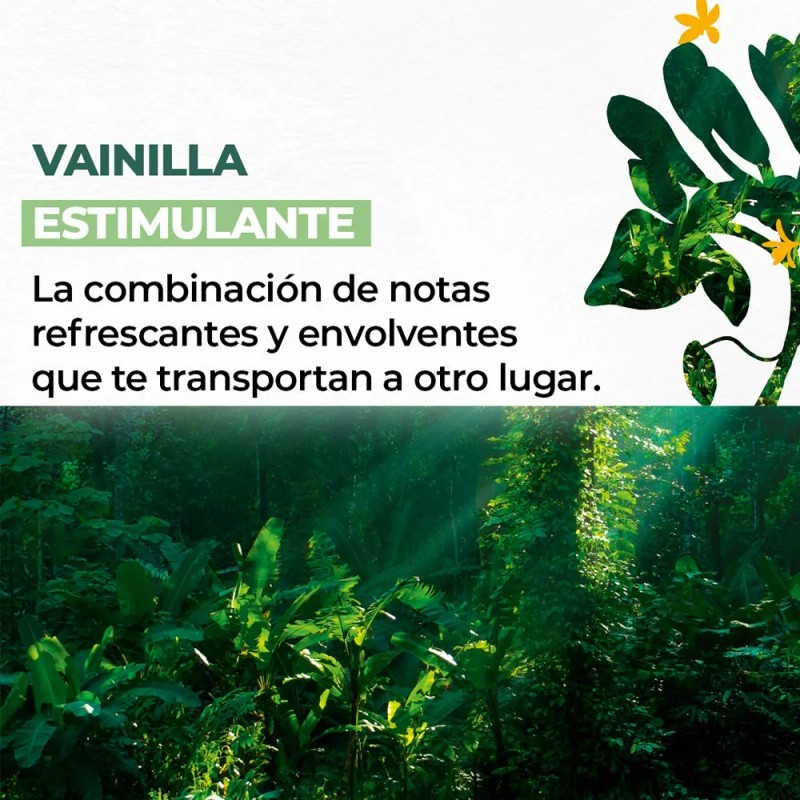 Yves Rocher Kit De Cremas Corporales De Vainilla