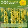 Mullein Leaf Extract Drops, Vegan Liquid Herbal Supplement, Supports Respiratory