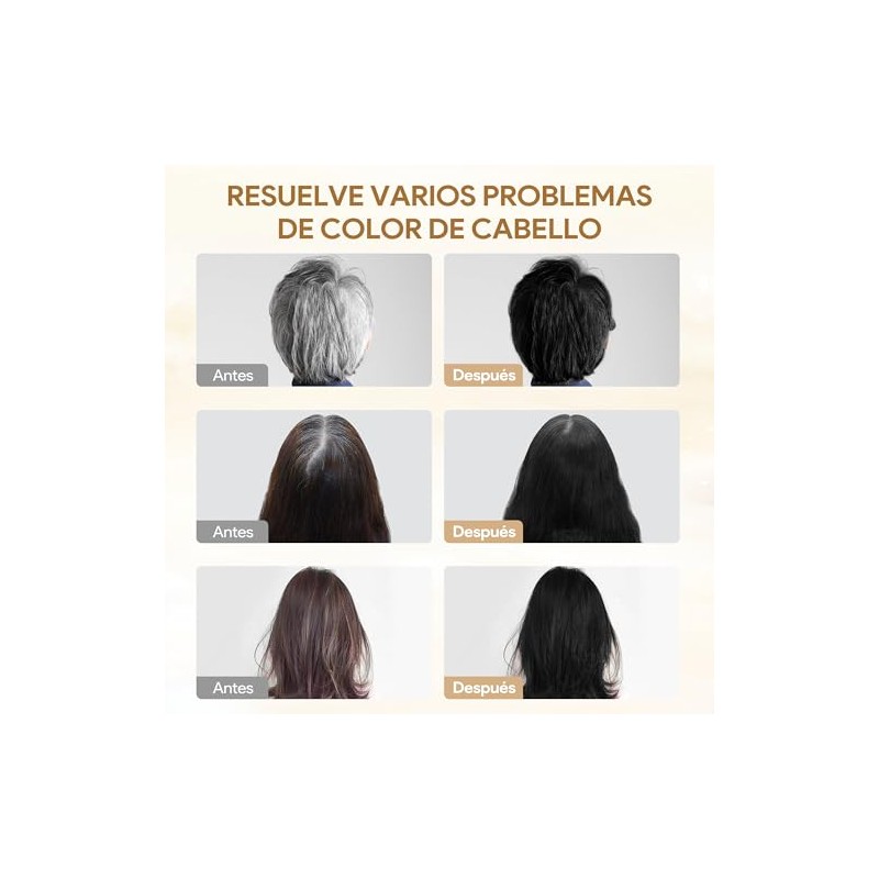 Black Hair Dye Shampoo 3 in 1, Shampoo para Canas