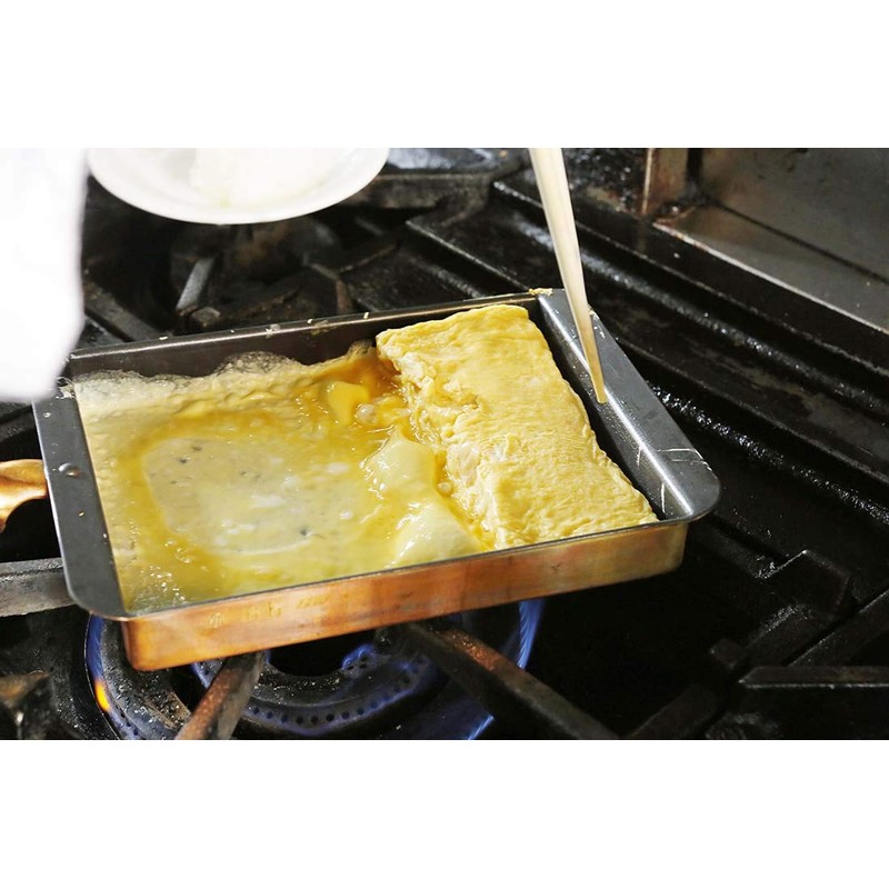 EBM copper Eggs Burn Kansai type (fluorine resin processing) 13.5