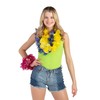 Fun Express Iridescent Plastic Leis - 12 Pieces