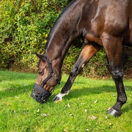 Best Friend Deluxe Grazing Muzzle with Attached Halter - Muzzle & Breakaway Halters for Horses, Horse Grazing Muzzle, Ventilated, Control Food Intake, Lightweight with Padded Noseband, Draft Horse