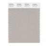 PANTONE Smart 15-4503X Color Swatch Card, Chateau Gray