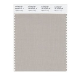 PANTONE Smart 15-4503X Color Swatch Card, Chateau Gray