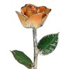 Living Gold Real Rose Dipped in Platinum (2-Tone Orange)
