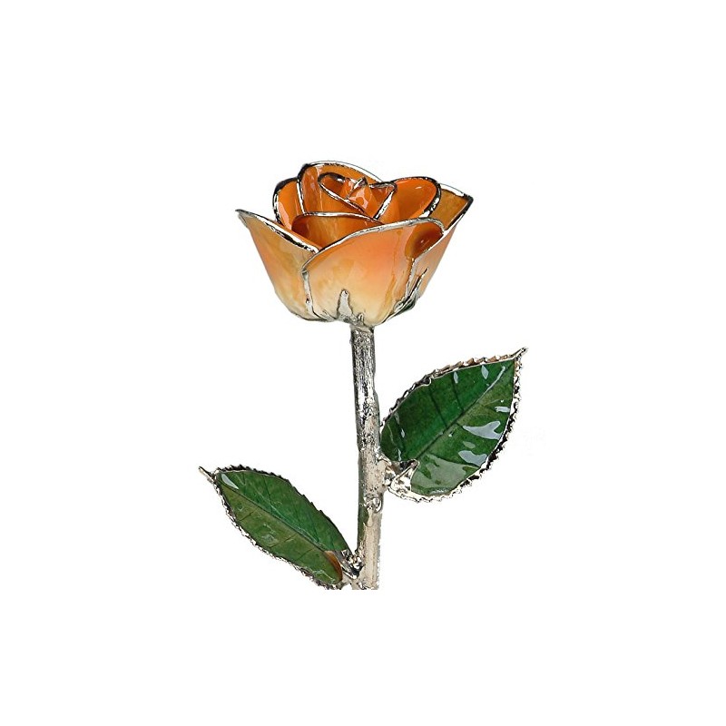 Living Gold Real Rose Dipped in Platinum (2-Tone Orange)