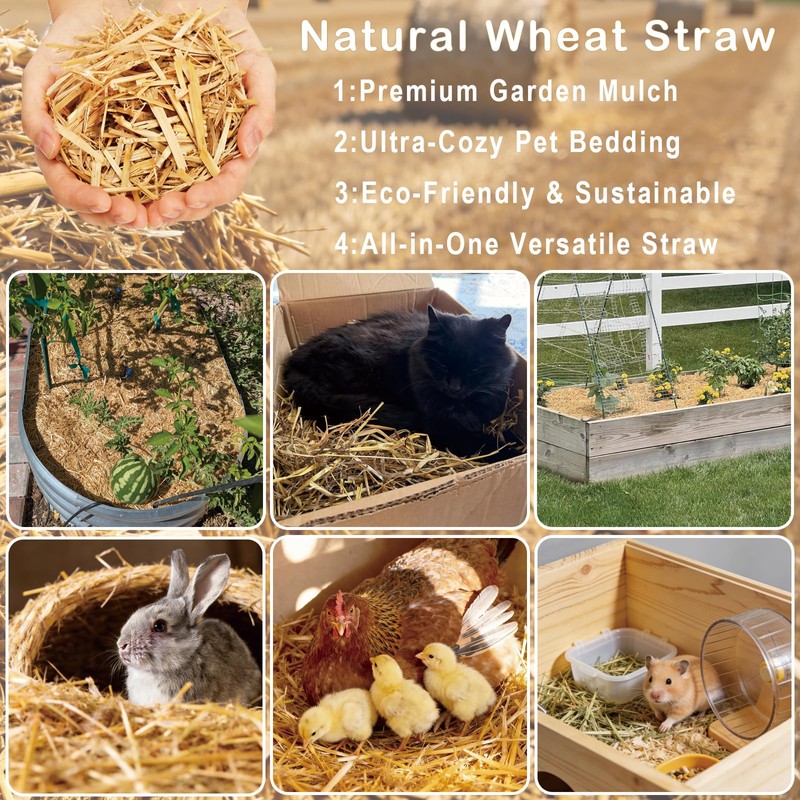 Natural Wheat Straw - Dry Clean Soft Bale for Stray