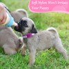 Auidy_6TXD 14pcs Puppy Collars for Litter Adjustable Whelping Puppy Collars