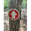 Wild Drifter Trail Markers - Bright Reflective Trail Marker Pack