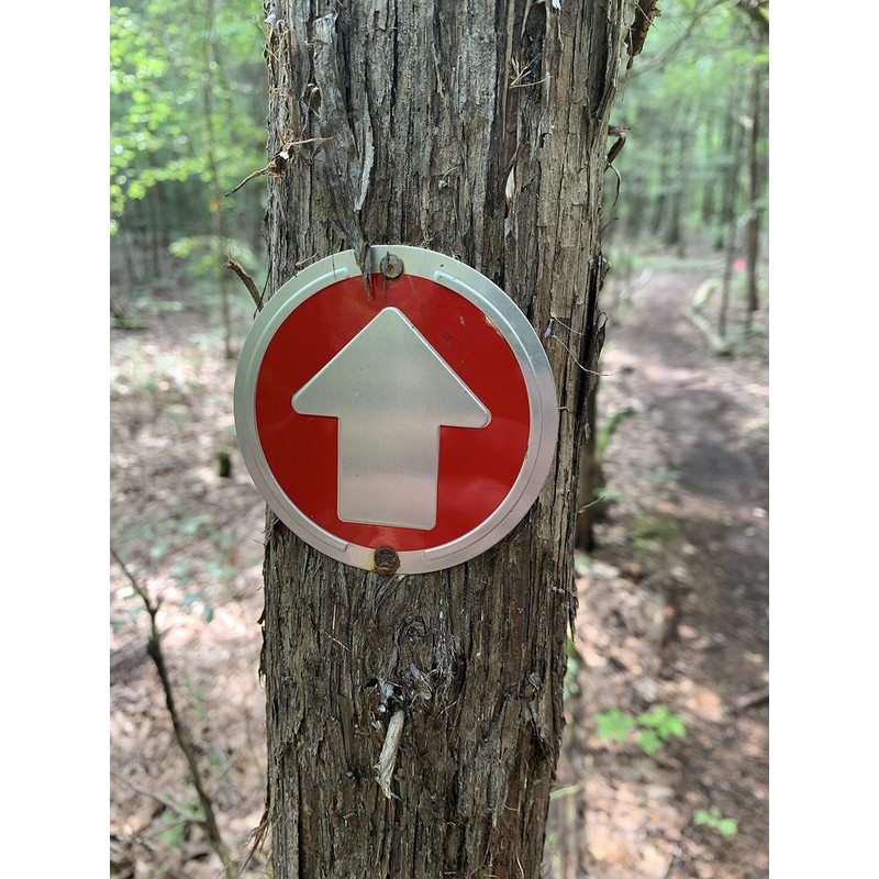 Wild Drifter Trail Markers - Bright Reflective Trail Marker Pack