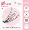 Renata Beauty 10D Natural Look [C Curl] Individual Eyelashes for