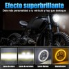 Italika F02010226 Brazo Horquilla Trasera para Motocicletas, Acero, Negro
