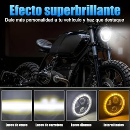 Italika F02010226 Brazo Horquilla Trasera para Motocicletas, Acero, Negro