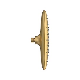 American Standard 9038001.GN0 Spectra Rain 11-Inch Showerhead, 1.8 GPM, Brushed Gold