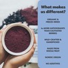 LOOV Wild Blueberry Powder Organic, Wild-Crafted from Nordic Forests, 100%