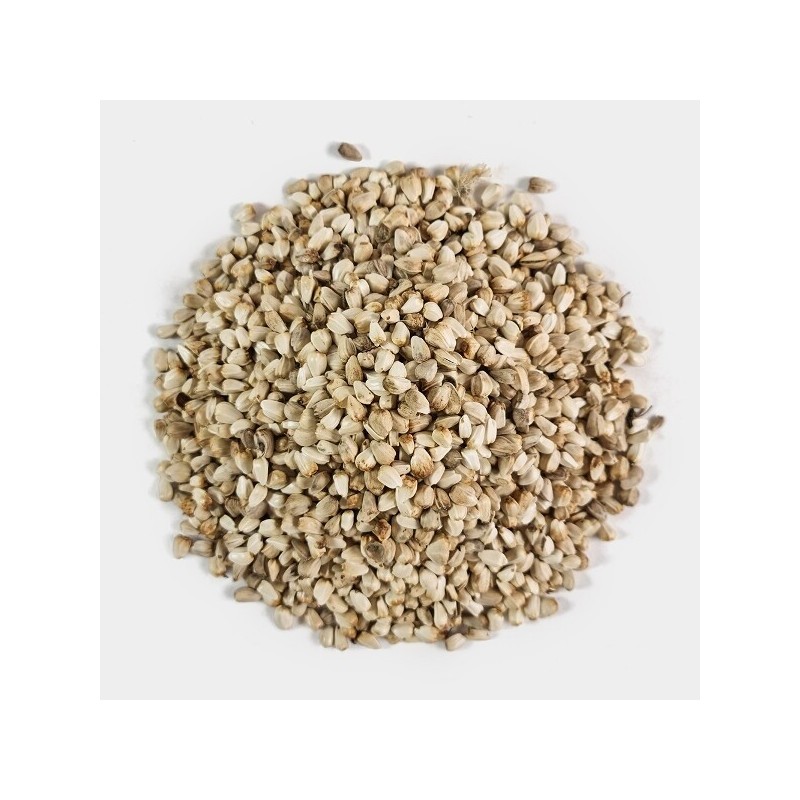수입산 홍화씨 홍아씨 홍화자 1kg Imported Safflower Seeds 1kg