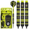 Winmau Michael Van Gerwen MvG Ambition - Juego de Dardos