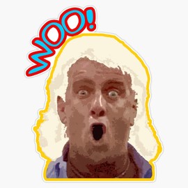 NumbTs- WOO Ric Flair - Legendary wrestling quote old school inspired design Bumper Sticker Vinyl Decal 5 inches