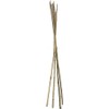 VBS - Bamboo Garden Stakes - Bambo Sticks, Bamboo Plant