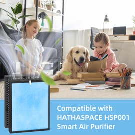 HSP001 Filter Replacement for Hathaspace Air Purifier HSP001, 4-in-2 H13 True HEPA Filter and Activated Carbon Filter,2 Pack