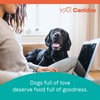 CANIDAE Pure Element with Lamb Dry Dog Food