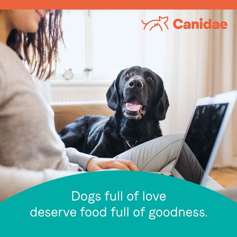 CANIDAE Pure Element with Lamb Dry Dog Food