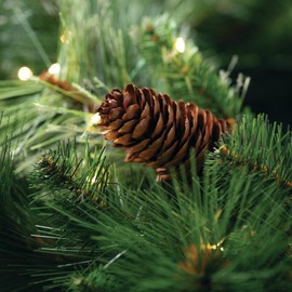 Sullivans Prelit 24" Christmas Wreath, Christmas Decor, Christmas Door Wreath with Lights, Lighted Pine Christmas Wreath, Christmas Decorations, White Lights, Pinecones, Battery Timer, Holiday Decor