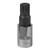 Spline Socket Bit M12 3/8 Inch Sq Drive