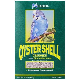 Oyster Shells, 15.5 Ounces