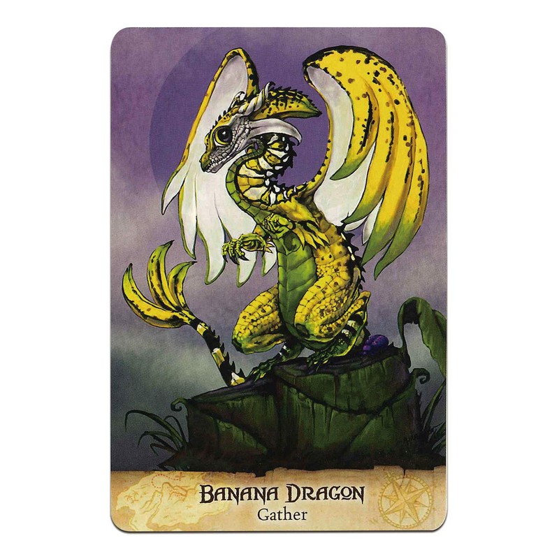 Oracle Card Divination Field Guide To The Garden Dragons