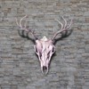 Hi-Flame 3 Pack of European Skull Wall Mount Bracket Hangers
