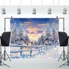 Winter Forest Wonderland Christmas Backdrop for Photoshoot 10x8ft Forest Reindeer